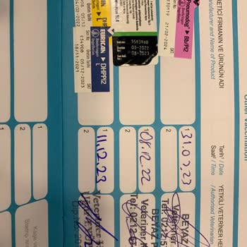 Haznedar Veteriner Kliniği Günü Geçmiş Aşı
