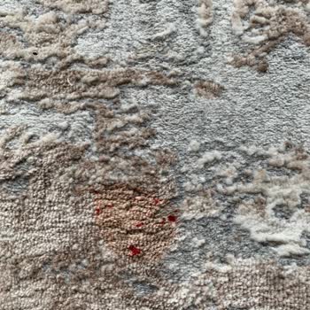 Haznedar Veteriner Kliniği Günü Geçmiş Aşı