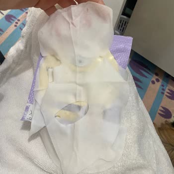 Bee Beauty Gratis Maskenin Yarısı Yok