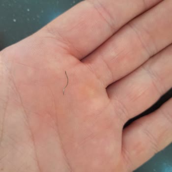 Liman AVM Burger King İçerisinden Metal Tel Çıkması