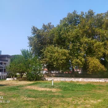 Aydın Büyükşehir Belediyesi Çevresine Karşı Bakımsızlığı