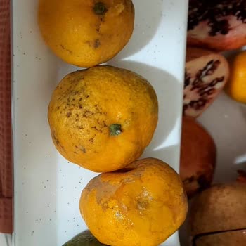 Portakalbahcem.com Reklamlar Farklı Realite Ayrı!