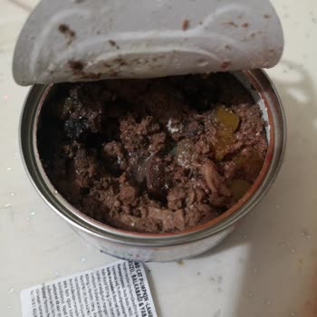 Farmina N&D Yaş Mama Bozuk Çıktı