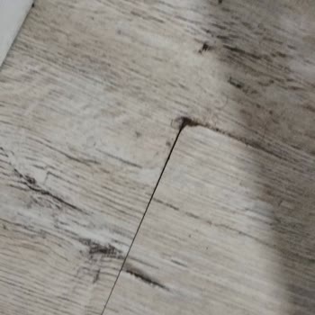 El-Diz Yapı İnşaat Hizmetten Bihaber