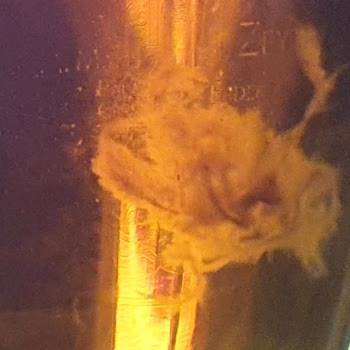 Fuse Tea Şeftali Tortumsu Maddeler Ve Bozuk Tat