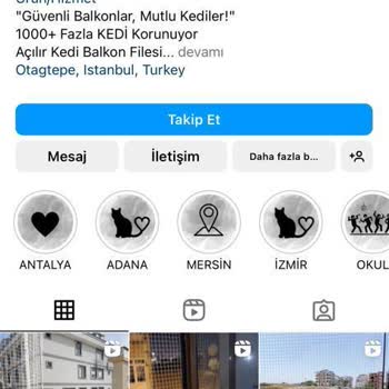 Filelog Kedi Filesi Kötü Hizmet
