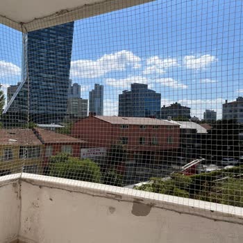 Filelog Kedi Filesi Kötü Hizmet