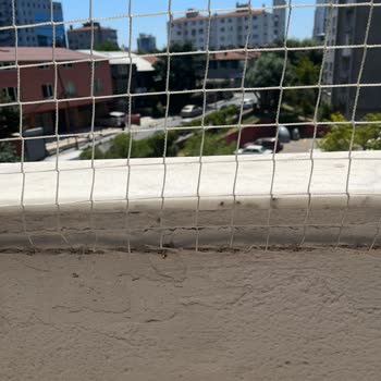 Filelog Kedi Filesi Kötü Hizmet