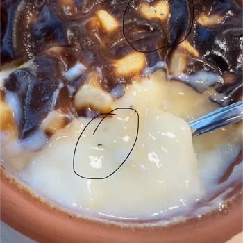 Karafırın Sütlacın İçinden Çıkan Metal Parçalar