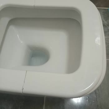 Kale Kırılan Klozet Kapağı