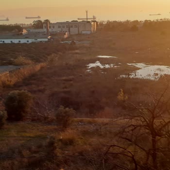 Kartal Belediyesinin İlgisizliği