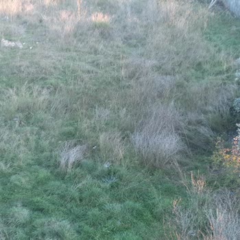 Kartal Belediyesinin İlgisizliği