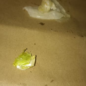 Popeyes Yanlış ve Tarihi Geçmiş Ürün Şikayeti