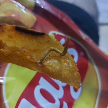 Lays Cipsin İçinden Yenmeyecek Şey Çıktı