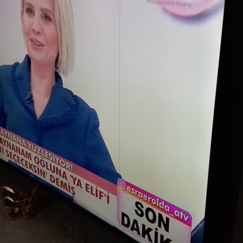 Sunny Televizyon Görüntü Mavi Çizgi