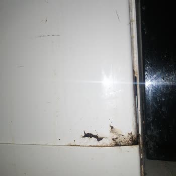 Arçelik 6231 Bulaşık Makinemiz Pas Ve Ses Sorunu