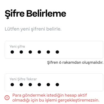 Papara Hesap Şifremi Yenileyemiyorum
