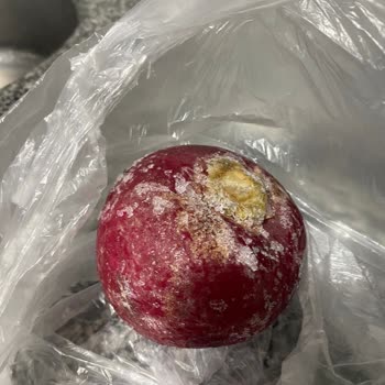 Grundig Buzdolabı Aşırı Soğutuyor