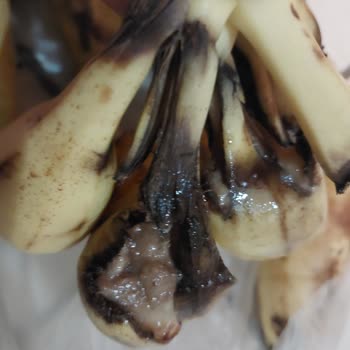 Şok Market Cepte Şok