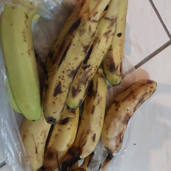 Şok Market Cepte Şok