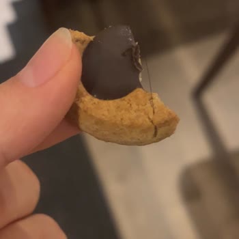 Torku Bisküviden Saç Çıkması