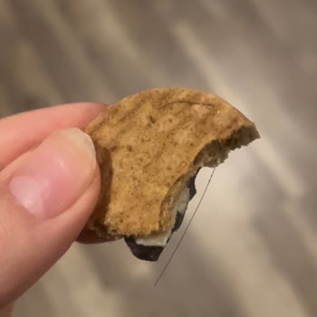 Torku Bisküviden Saç Çıkması