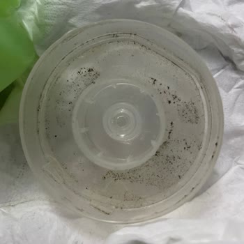 Simple Skin Care Yüz Temizleme Jelim Küflendi