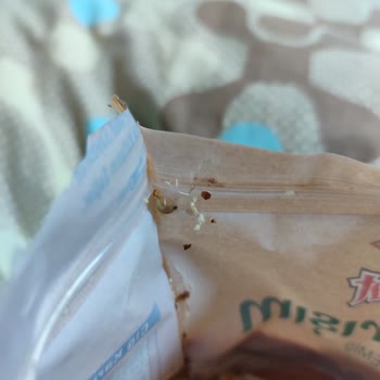 BİM Kurtlu Ve Bozuk Simbat Kuruyemiş