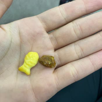 BİM Balık Kraterin İçinde Taş Var