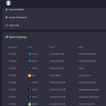 invaultcoins.com Coin Yanıltıcılığı!
