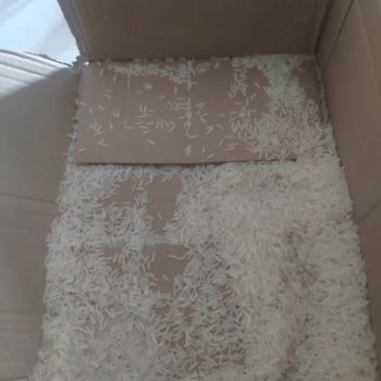 Amazon Kargo Paketinin İçine Dökülmüş Gıda Ürünü