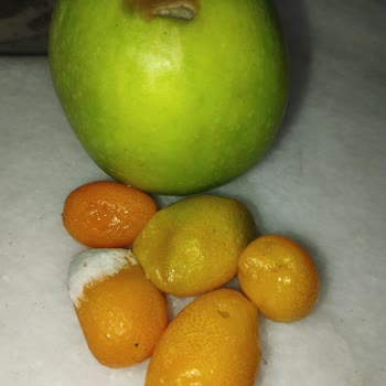 Aybimaş Çürük Veya Bozuk Ürün Almaktan Sıkıldım