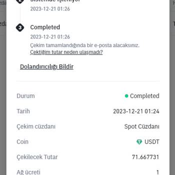 Bit Turk Kripto Para Transferi Sorunu