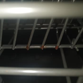 Samsung Bulaşık Makinesi Sepet Küflenmesi