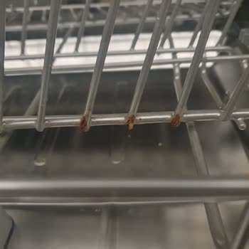 Samsung Bulaşık Makinesi Sepet Küflenmesi