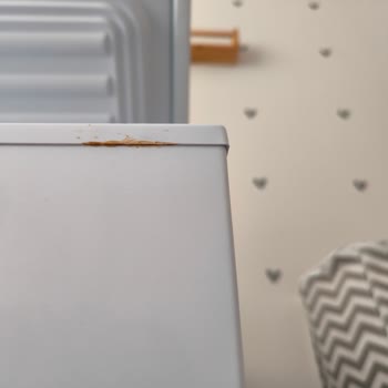 Uğur Soğutma Derin Dondurucuda Oluşan Pas Ve Servis Yanıtı Problemi