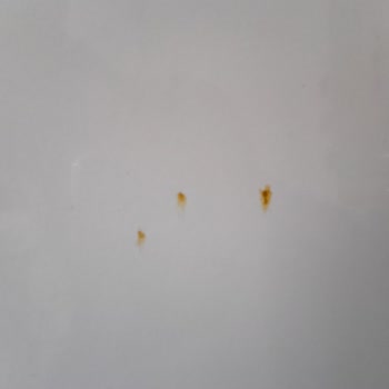 Uğur Soğutma Derin Dondurucuda Oluşan Pas Ve Servis Yanıtı Problemi
