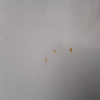 Uğur Soğutma Derin Dondurucuda Oluşan Pas Ve Servis Yanıtı Problemi