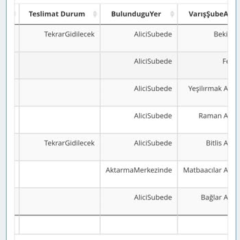 Sürat Kargo'da Bekleyen 8 Adet Kargom
