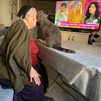 Peugeot 301 Sıfır Arabada 8 Sene Sonra Boya Kabarması