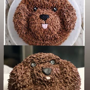 Taşocak Fırın Taşacak Özel Sipariş Pasta