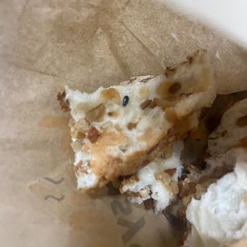 Börek İstasyonu (Bursa) Poğaçadan Böcek Çıkması