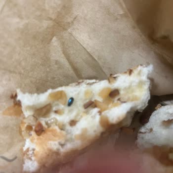 Börek İstasyonu (Bursa) Poğaçadan Böcek Çıkması