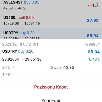 Pays Capital Yatırım Gizli Zararlarla Mücadele
