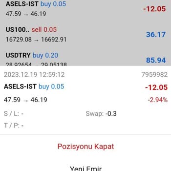Pays Capital Yatırım Gizli Zararlarla Mücadele
