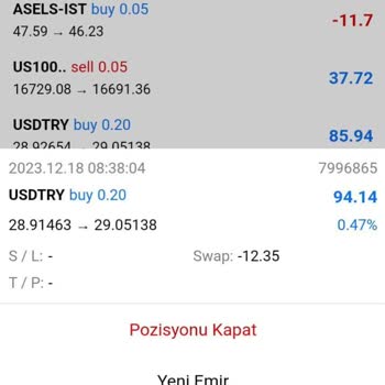 Pays Capital Yatırım Gizli Zararlarla Mücadele