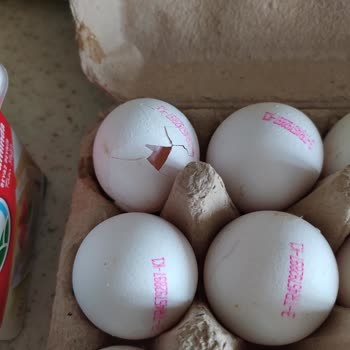 Şok Marketler Tarihi Geçmiş Ürünler