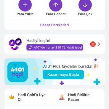 Hadi TOM Pay Hadi A_101 Para Gelmemesi