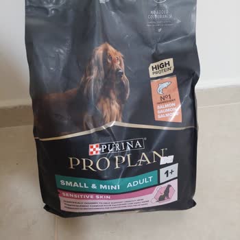 Pro Plan Somonlu Kopek Mamasını Yemiyor