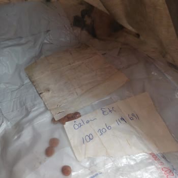 Çiçek Sepeti Sipariş